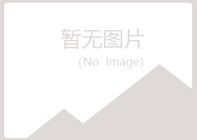 麟游县字迹司机有限公司